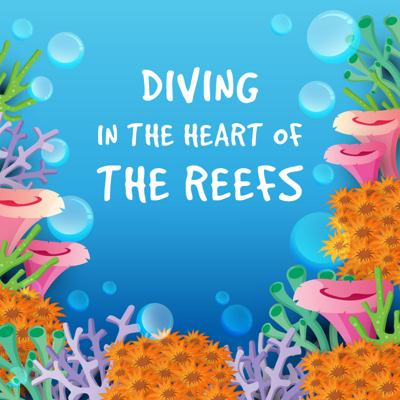 Dive in the Great Barrier Reef