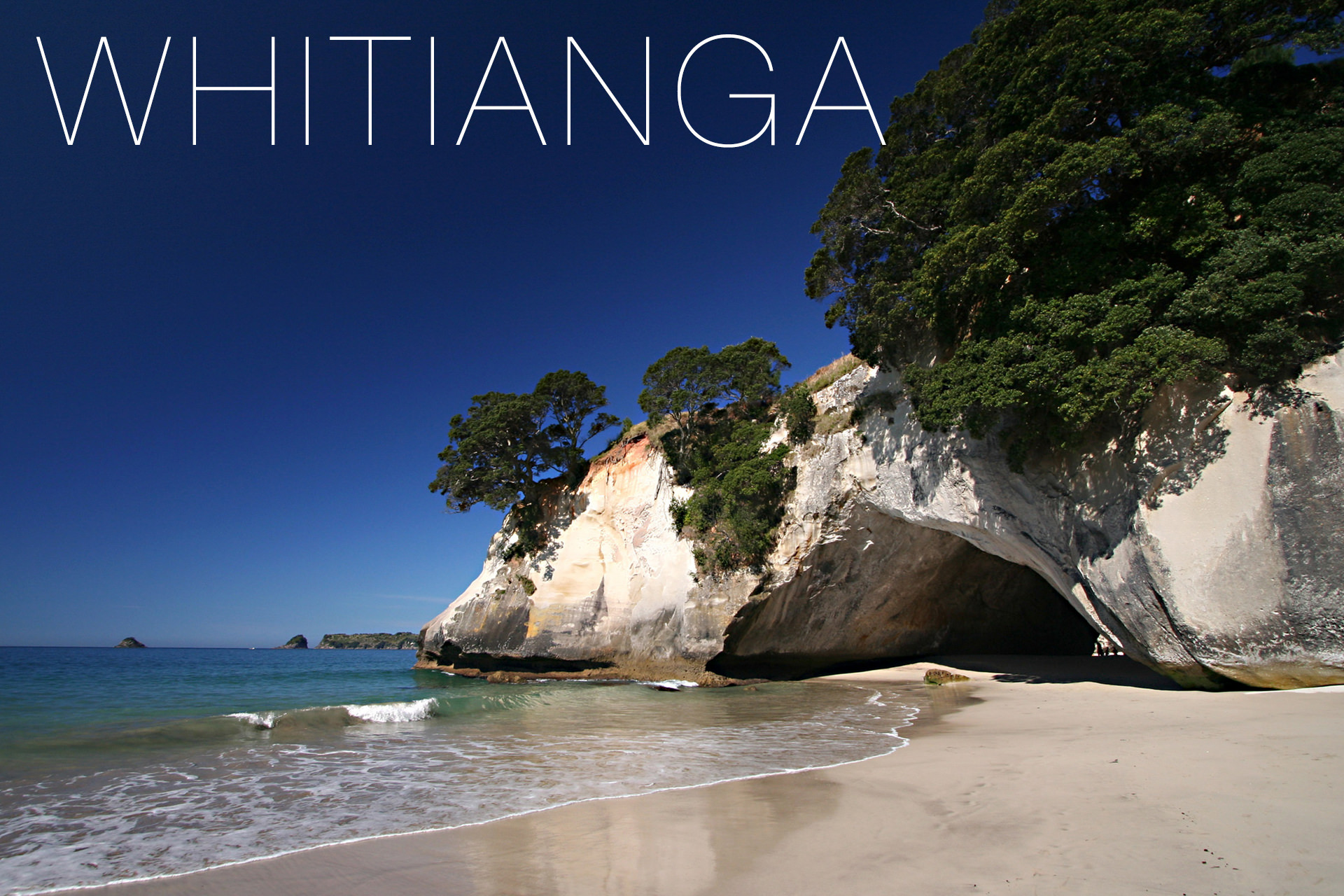 The Language House - Whitianga